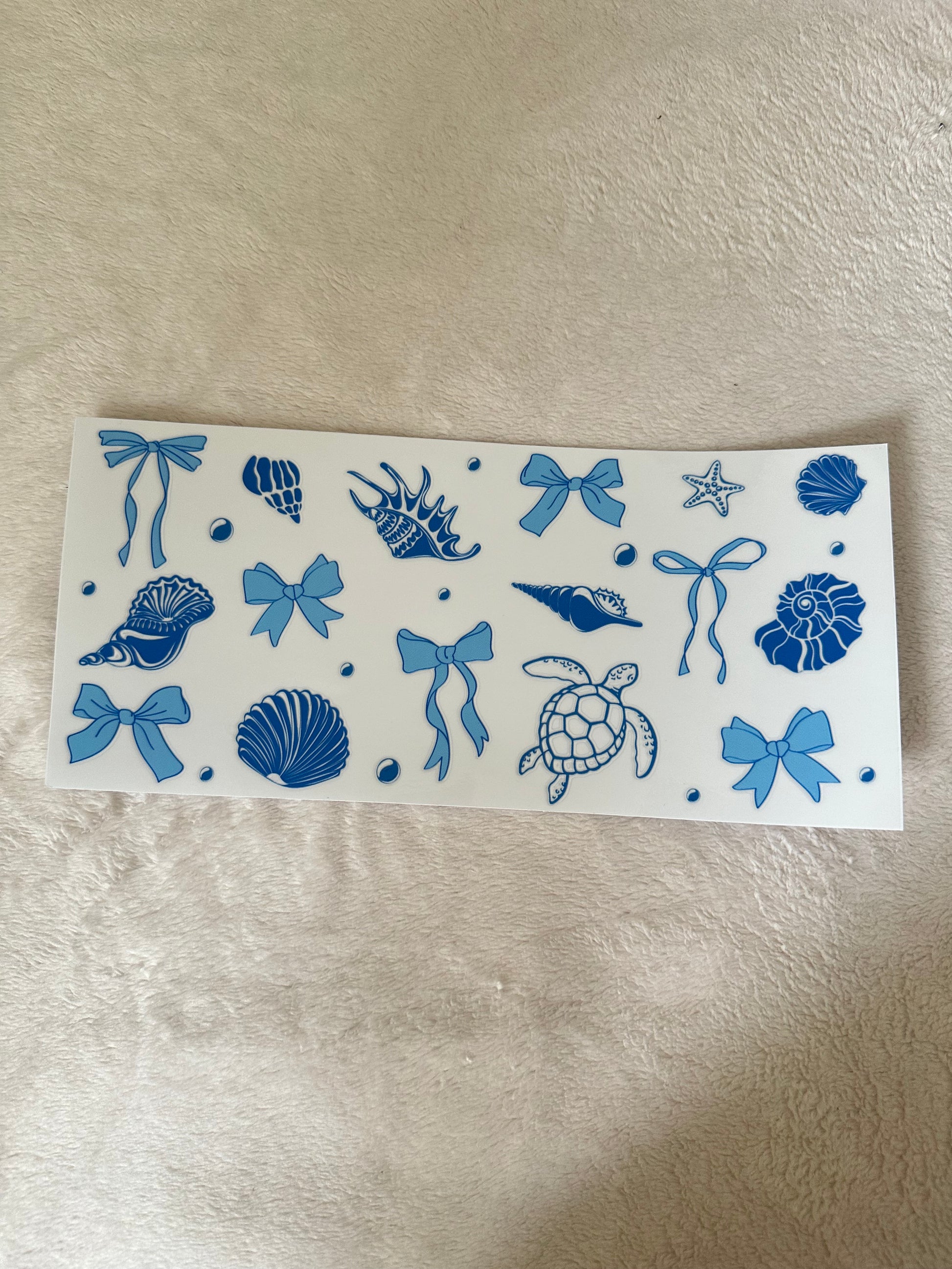 Turtle and shells