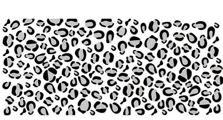 Black and gray cheetah