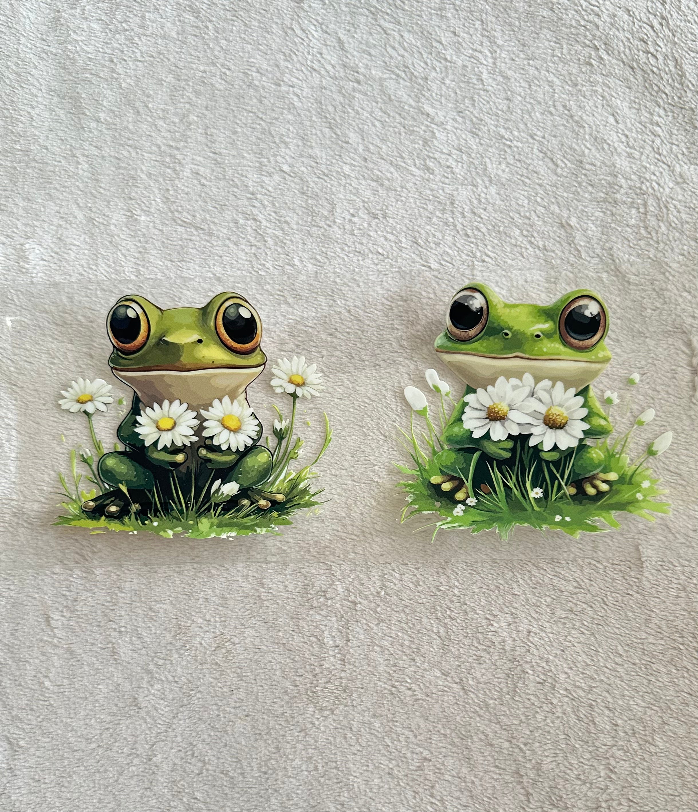 Frog & daisy’s