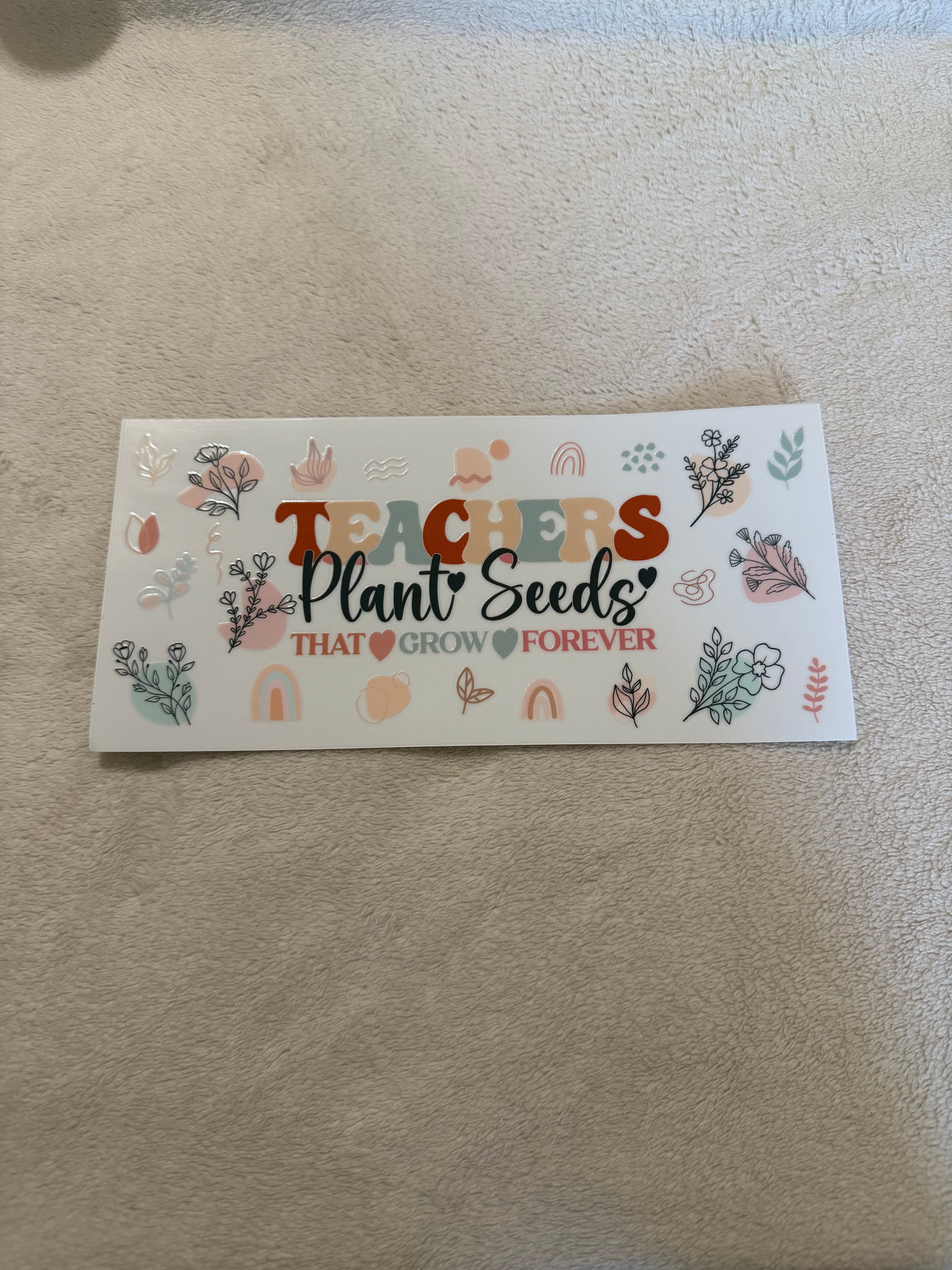 Teacher plant seeds 3