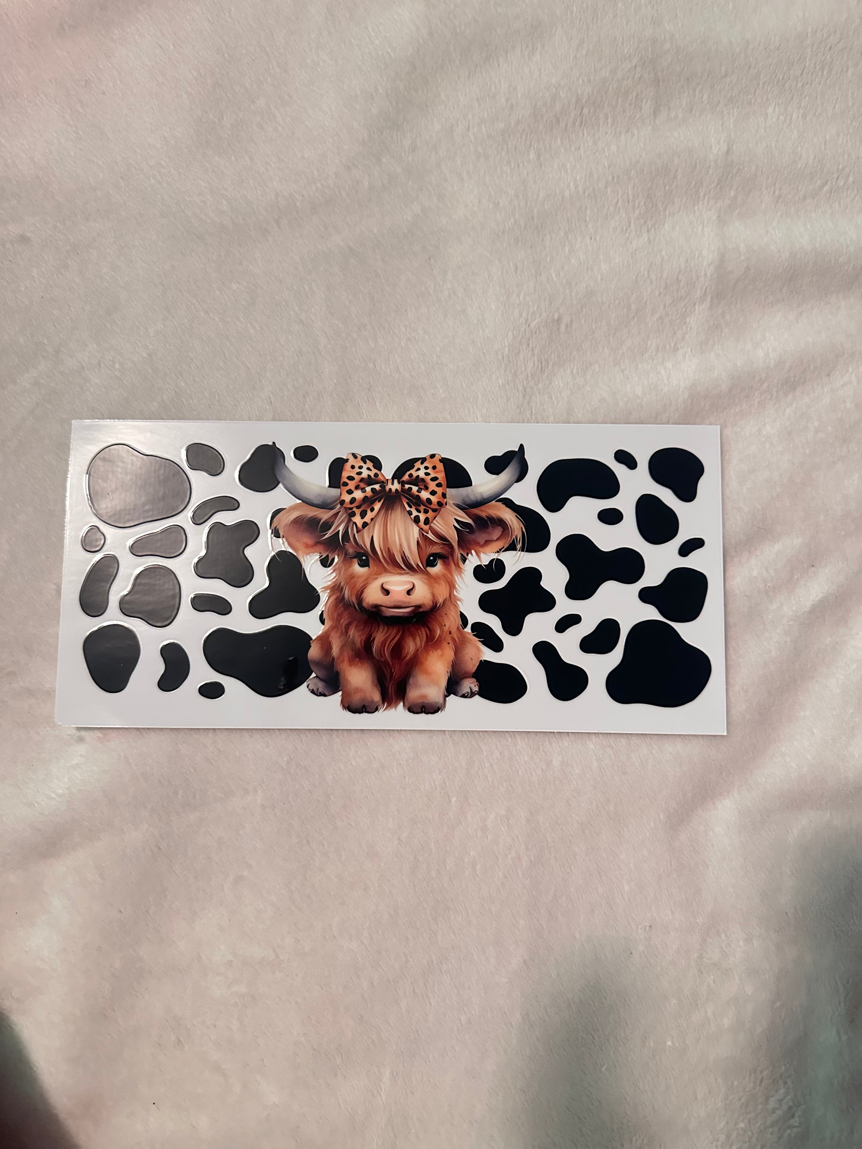Cheetah highland cow