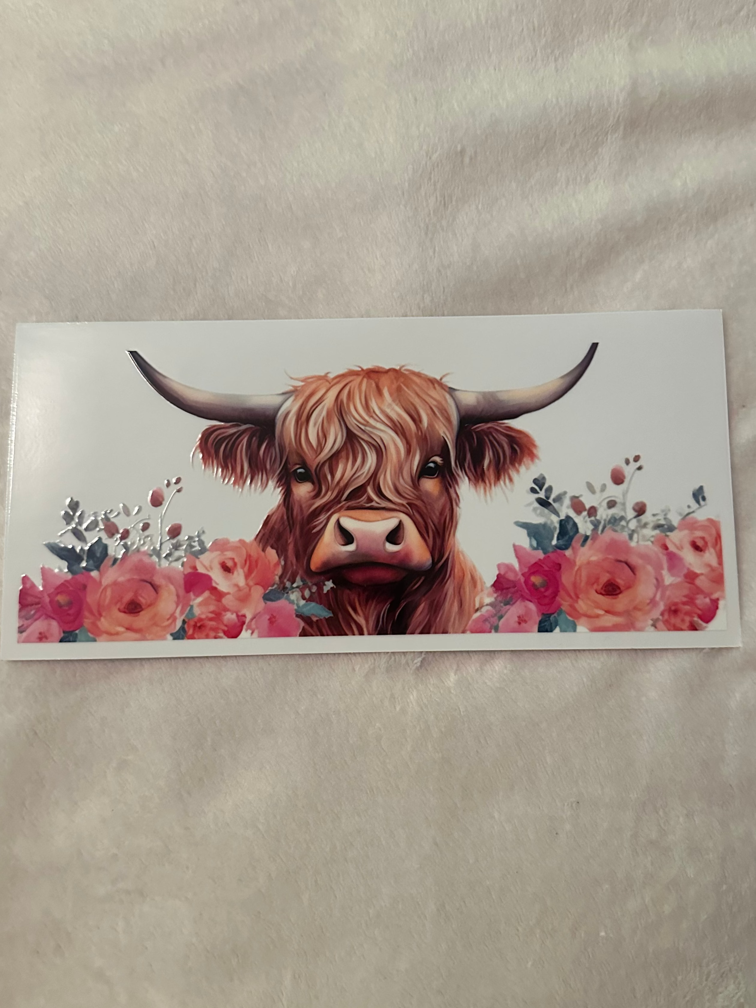 Rose highland cow decal