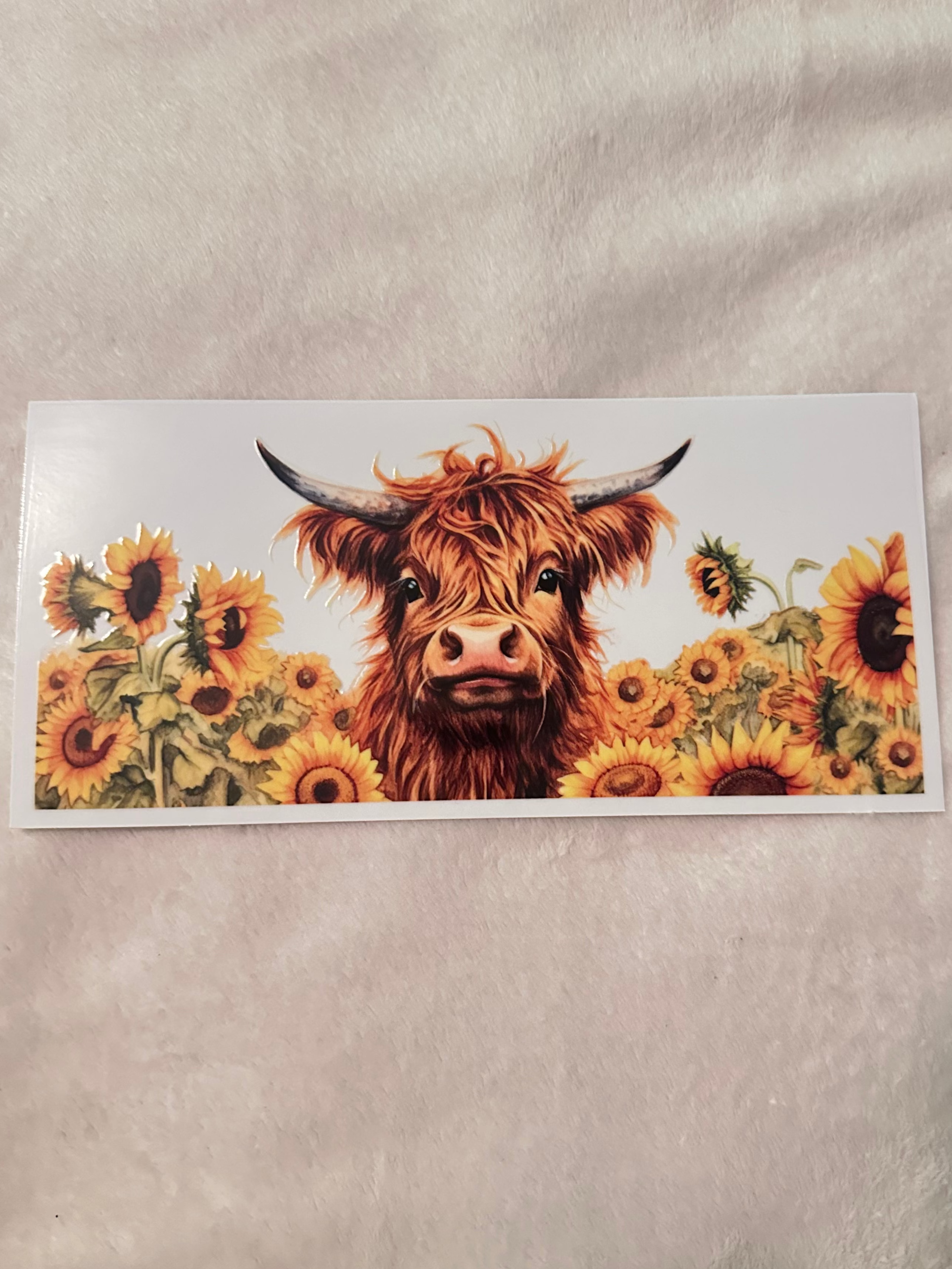 Sunflower highland cow 2 decal