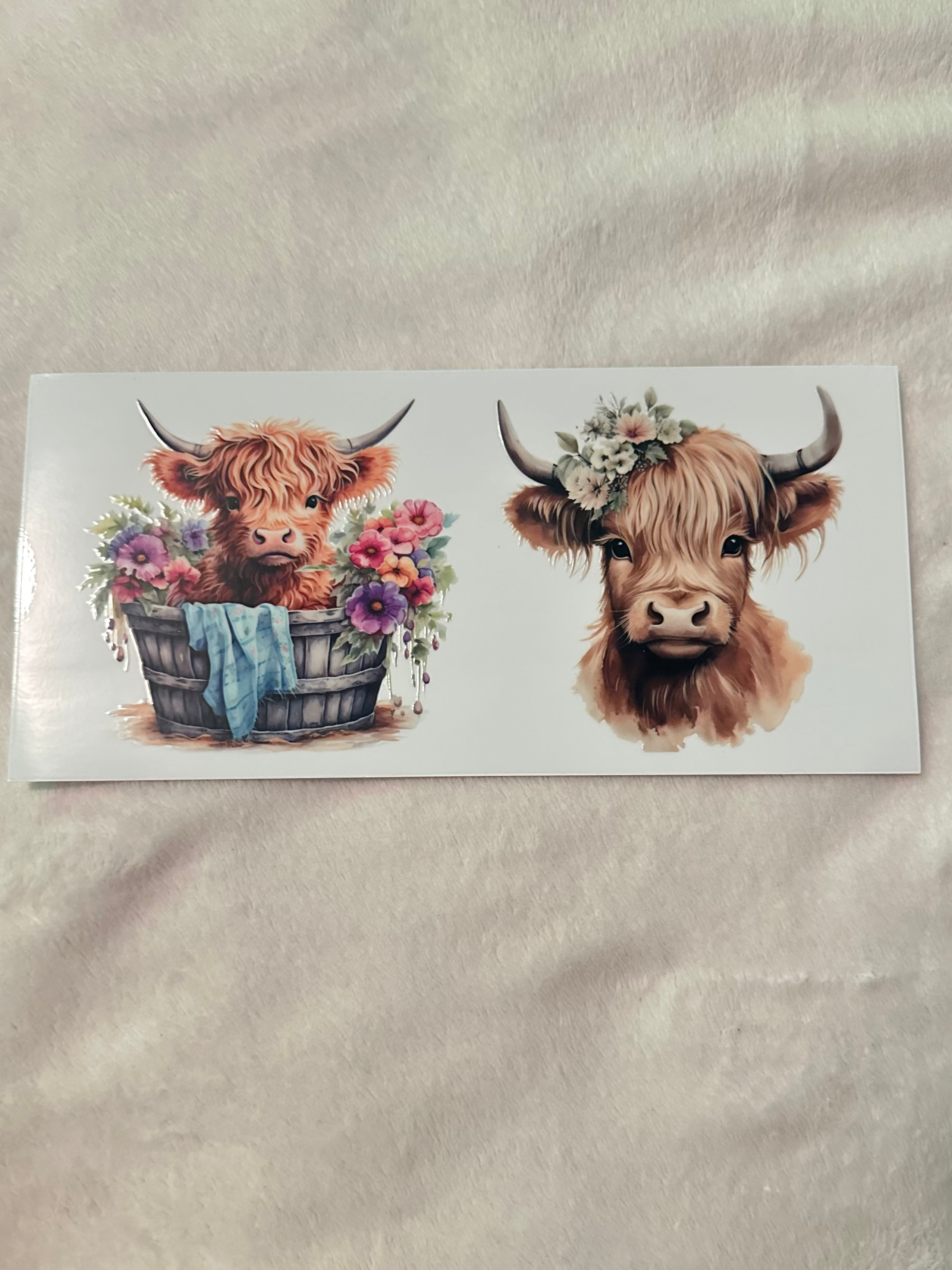 Double highland cow decal