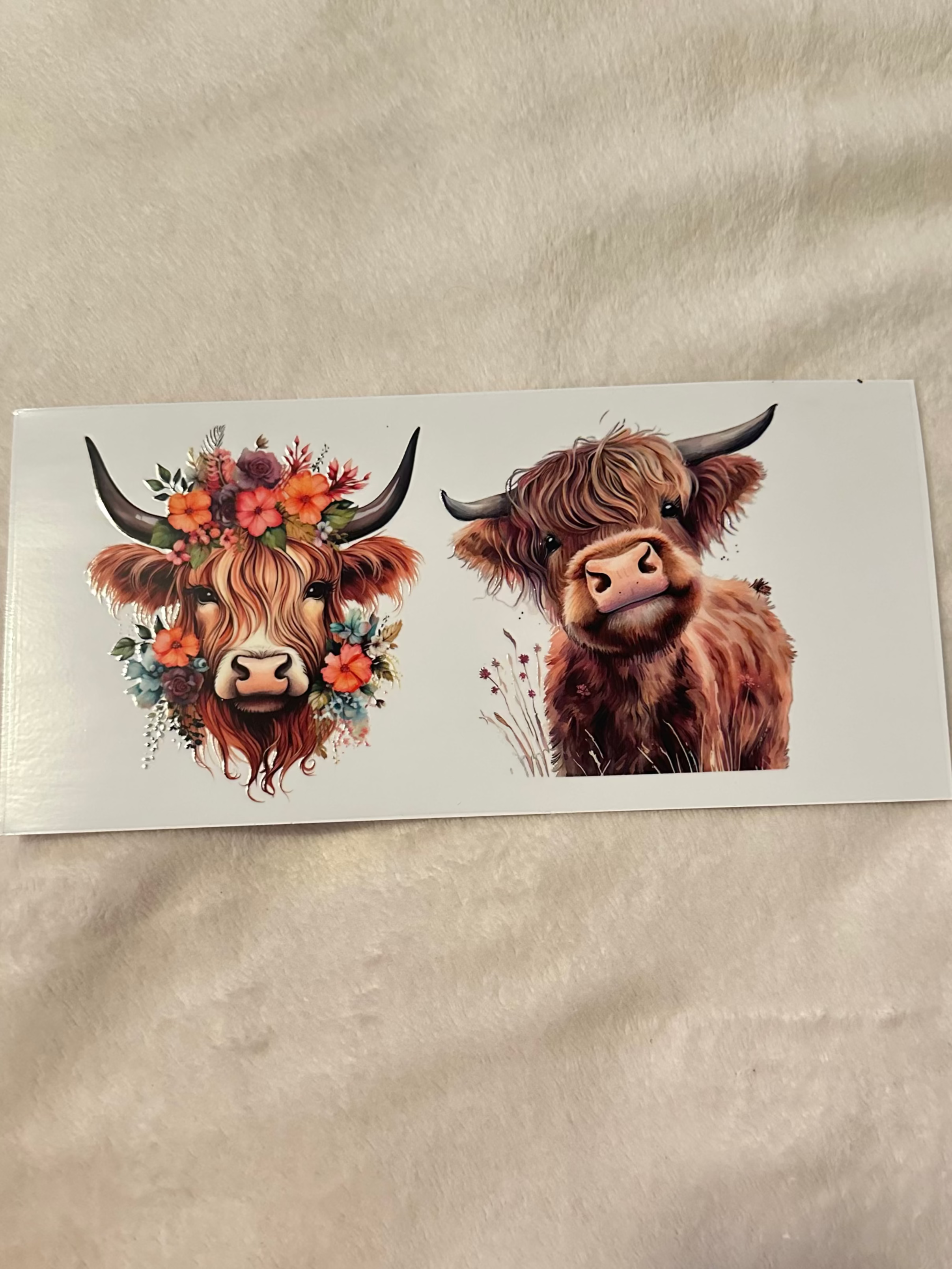 Double highland cow 2 decal